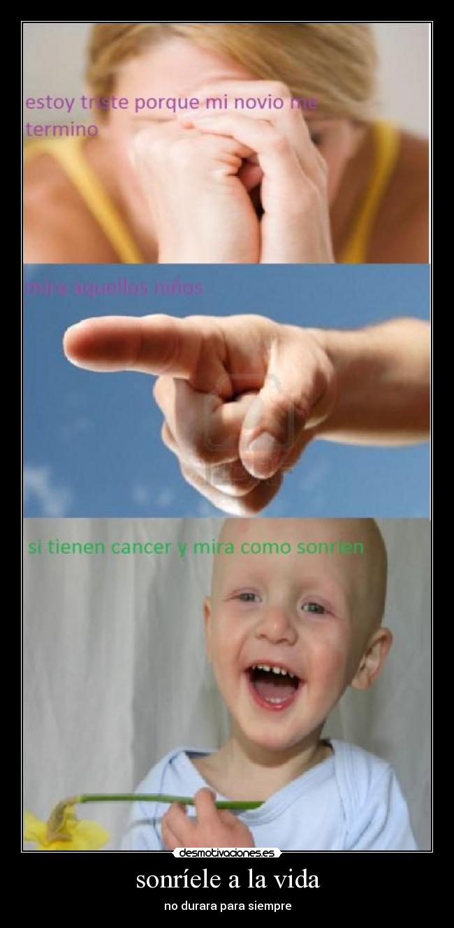 sonríele a la vida -