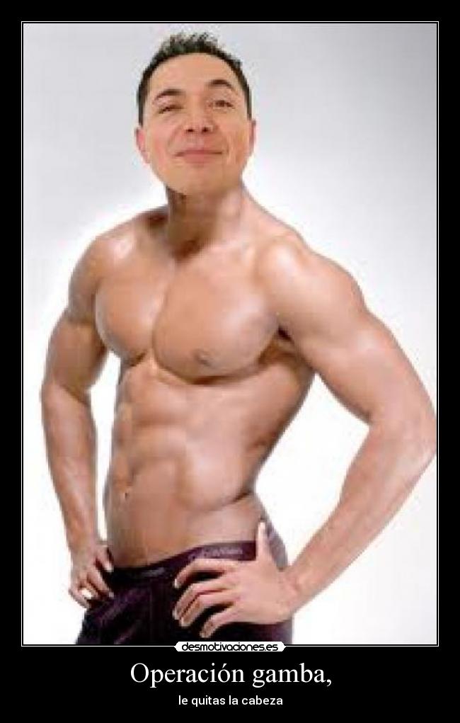 carteles operacion gamba desmotivaciones