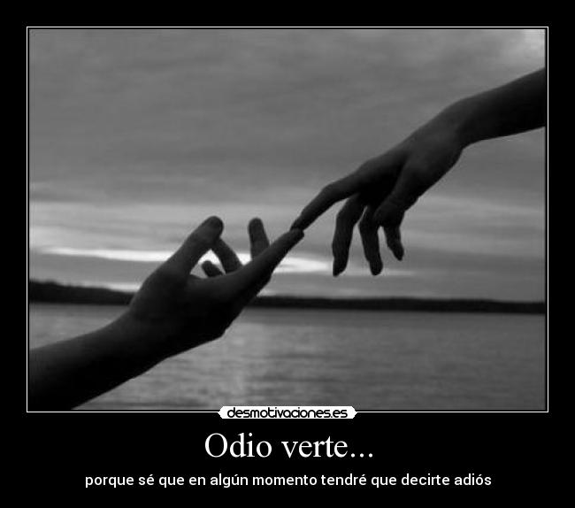 carteles odio laincoubert3 desmotivaciones