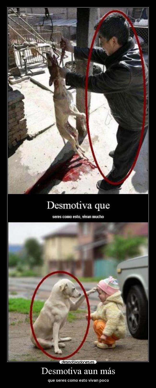 Desmotiva aun más - 