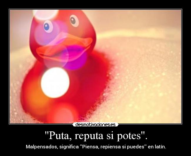 Puta, reputa si potes. - Malpensados, significa Piensa, repiensa si puedes en latín.