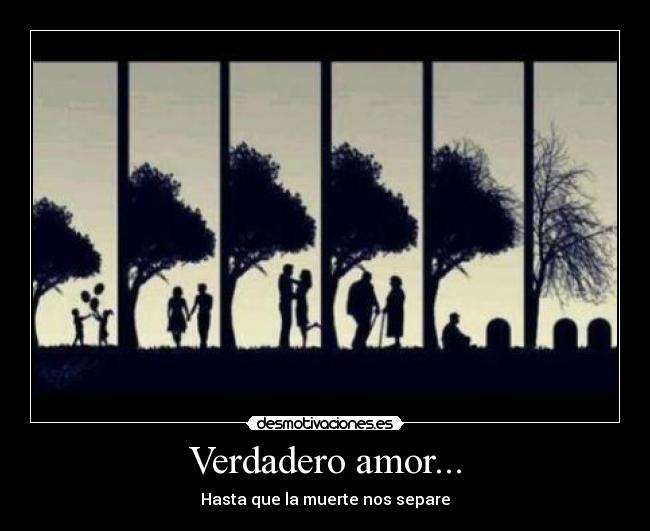 Verdadero amor... - 