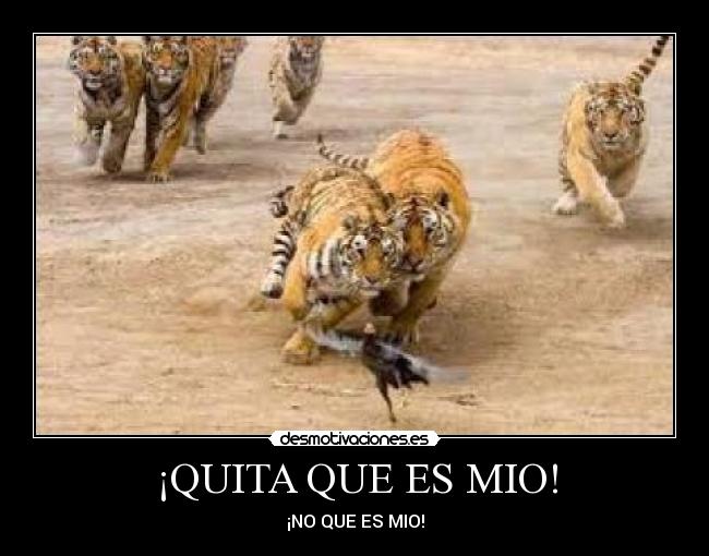 carteles jajaja desmotivaciones