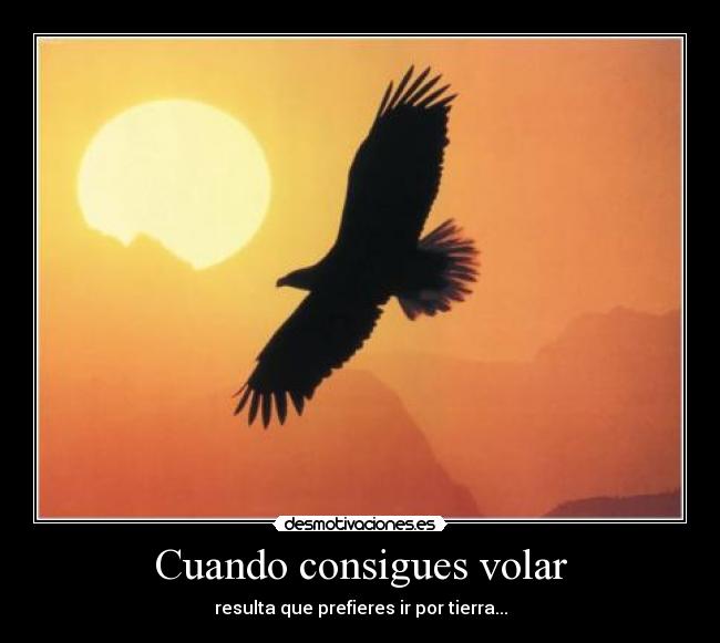 Cuando consigues volar - resulta que prefieres ir por tierra...