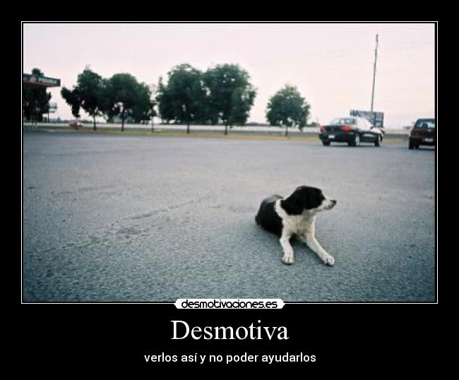 Desmotiva - 