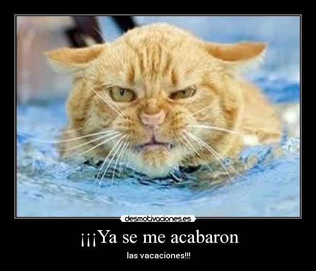 ¡¡¡Ya se me acabaron -