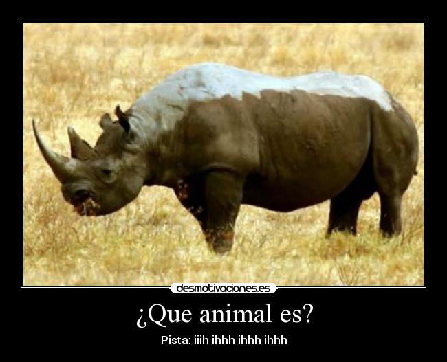¿Que animal es? - Pista: iiih ihhh ihhh ihhh