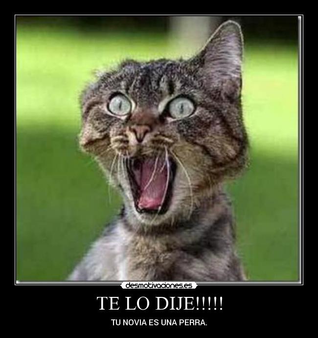 TE LO DIJE!!!!! -