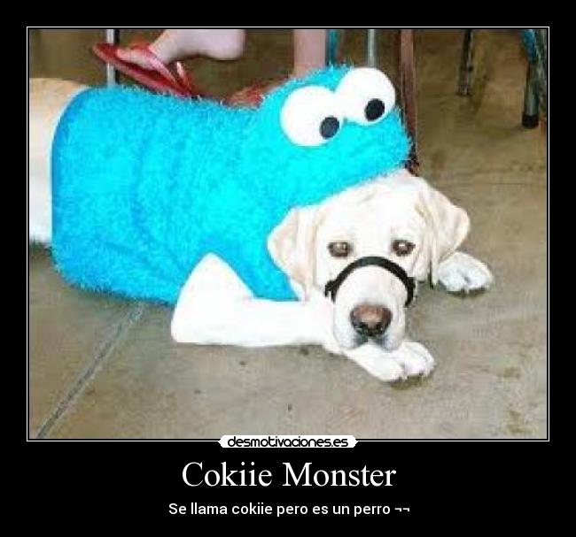 Cokiie Monster - Se llama cokiie pero es un perro ¬¬