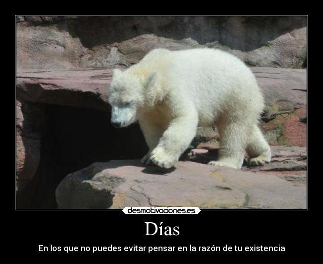 Días - En los que no puedes evitar pensar en la razón de tu existencia