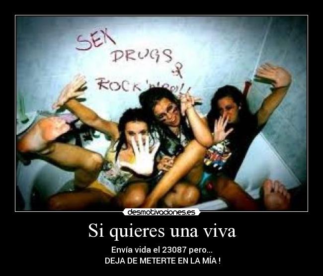 Si quieres una viva -