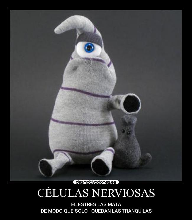 CÉLULAS NERVIOSAS - EL ESTRÉS LAS MATA
DE MODO QUE SOLO QUEDAN LAS TRANQUILAS