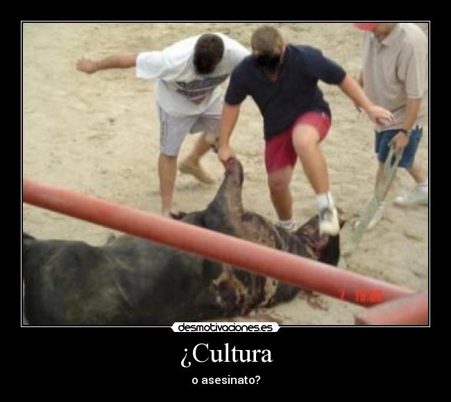 ¿Cultura -