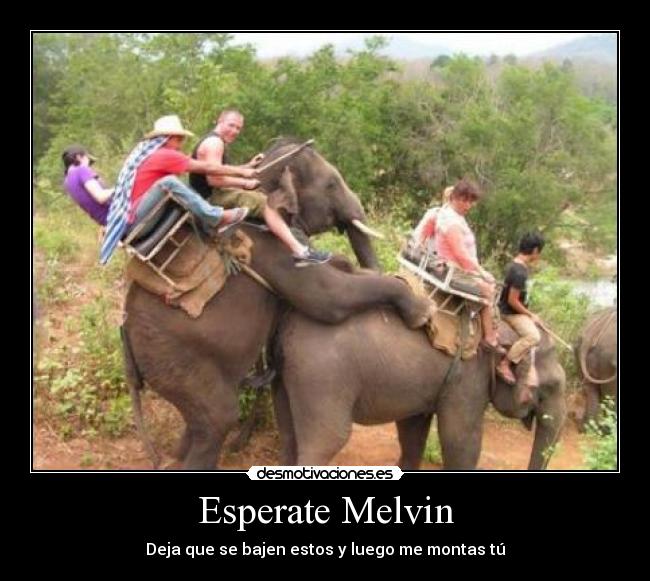Esperate Melvin - Deja que se bajen estos y luego me montas tú