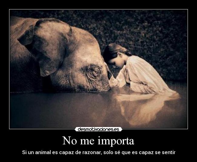 No me importa - Si un animal es capaz de razonar, solo sé que es capaz se sentir