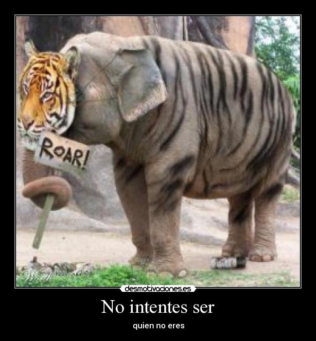 No intentes ser - quien no eres