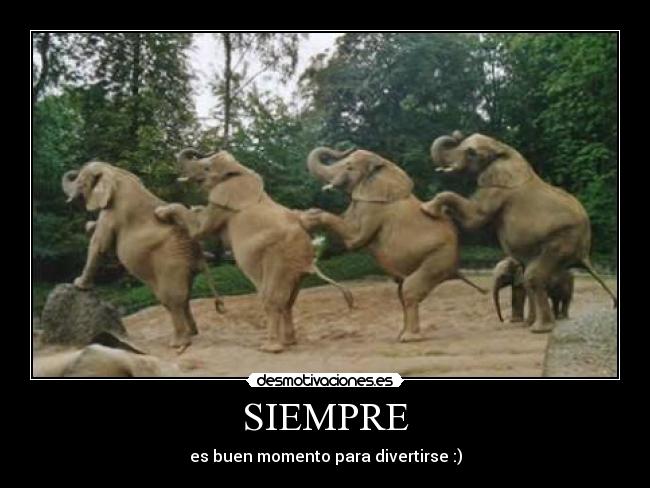 SIEMPRE -
