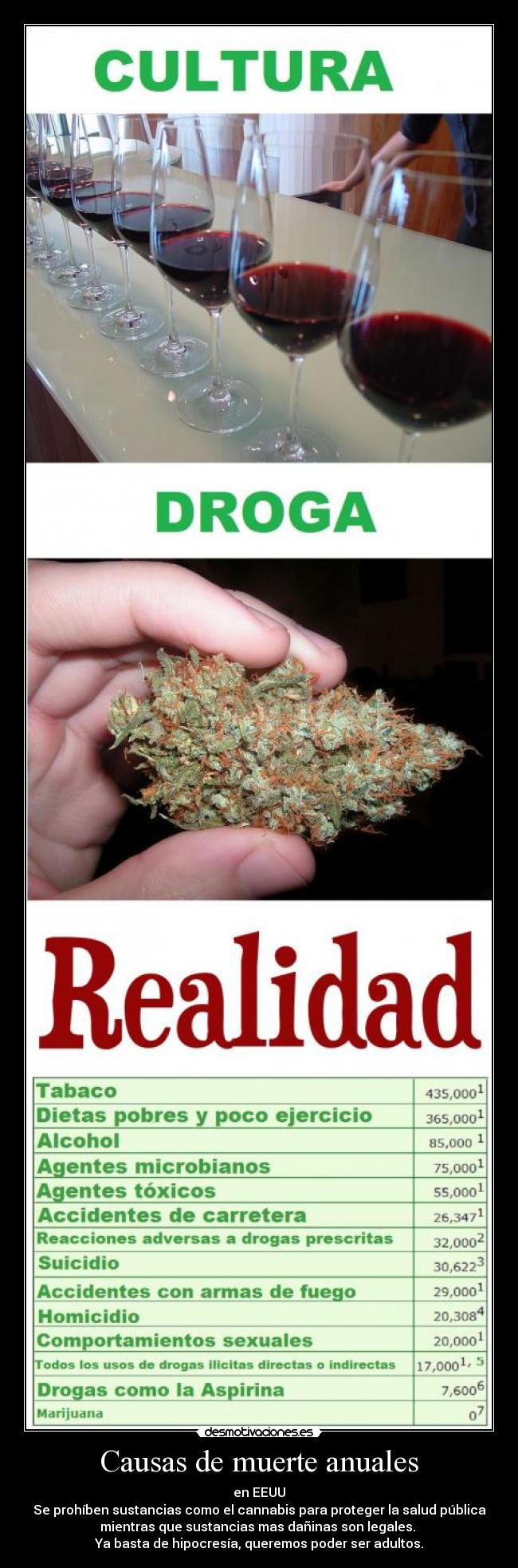 Causas de muerte anuales -