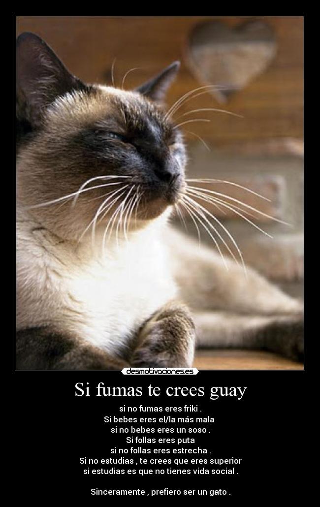 Si fumas te crees guay - 