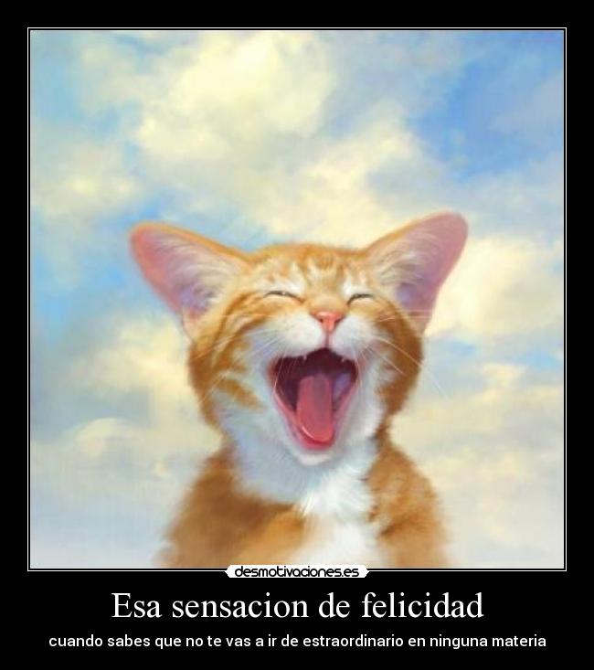 Esa sensacion de felicidad - cuando sabes que no te vas a ir de estraordinario en ninguna materia