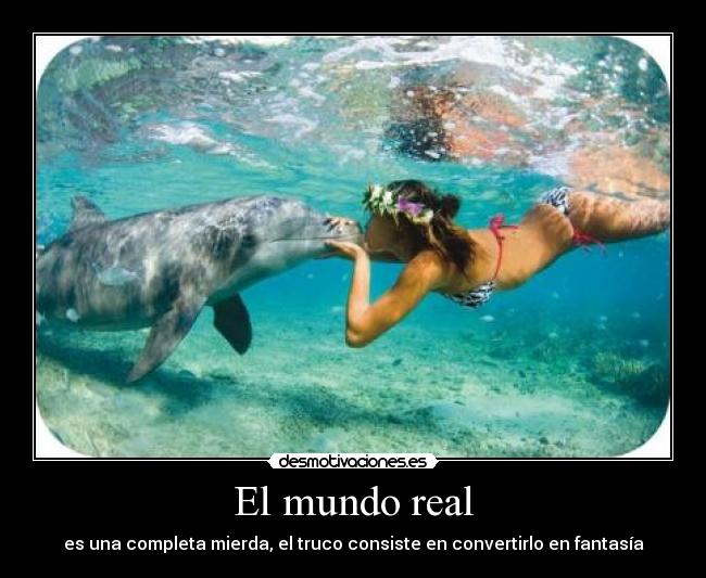 El mundo real - 
