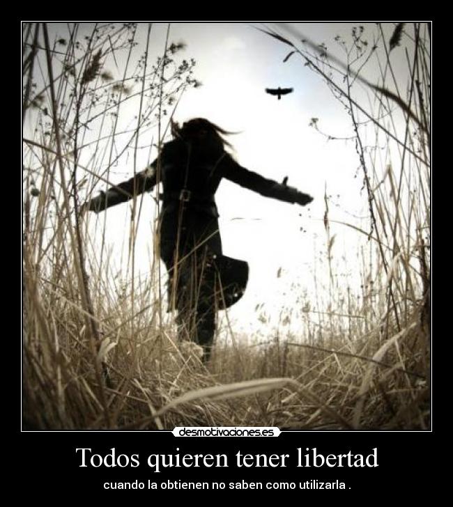 Todos quieren tener libertad - cuando la obtienen no saben como utilizarla .