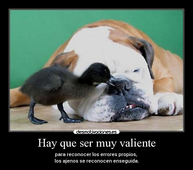 Hay que ser muy valiente - para reconocer los errores propios,
los ajenos se reconocen enseguida.