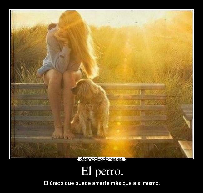 El perro. - El único que puede amarte más que a sí mismo.