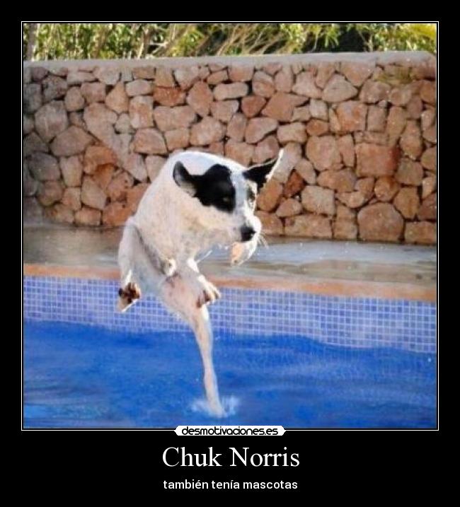 Chuk Norris -