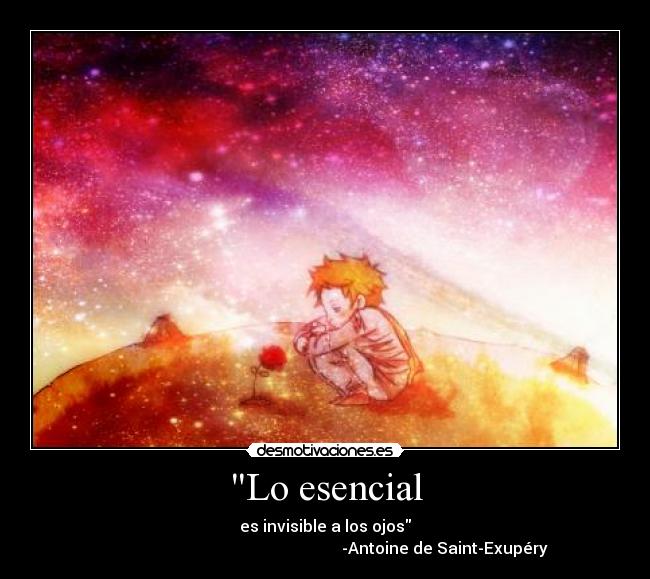 Lo esencial - 