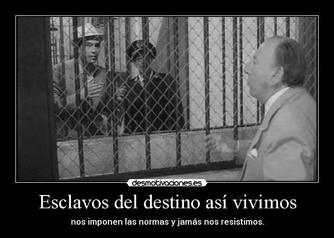 Esclavos del destino así vivimos -