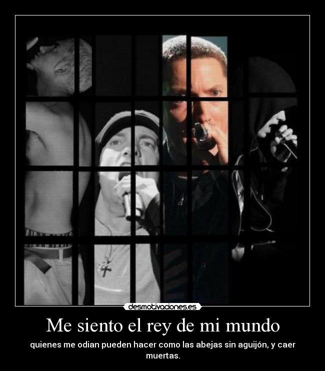 Me siento el rey de mi mundo -