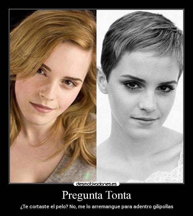 Pregunta Tonta - ¿Te cortaste el pelo? No, me lo arremangue para adentro gilipollas