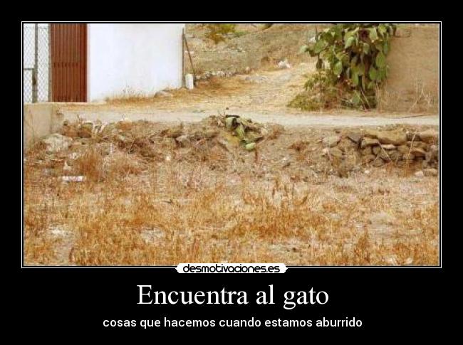 Encuentra al gato - cosas que hacemos cuando estamos aburrido