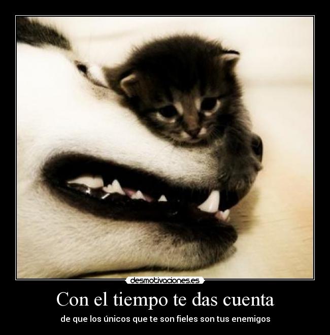 carteles siempre estan para intentar joderte desmotivaciones