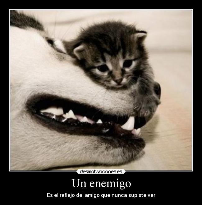 Un enemigo - Es el reflejo del amigo que nunca supiste ver