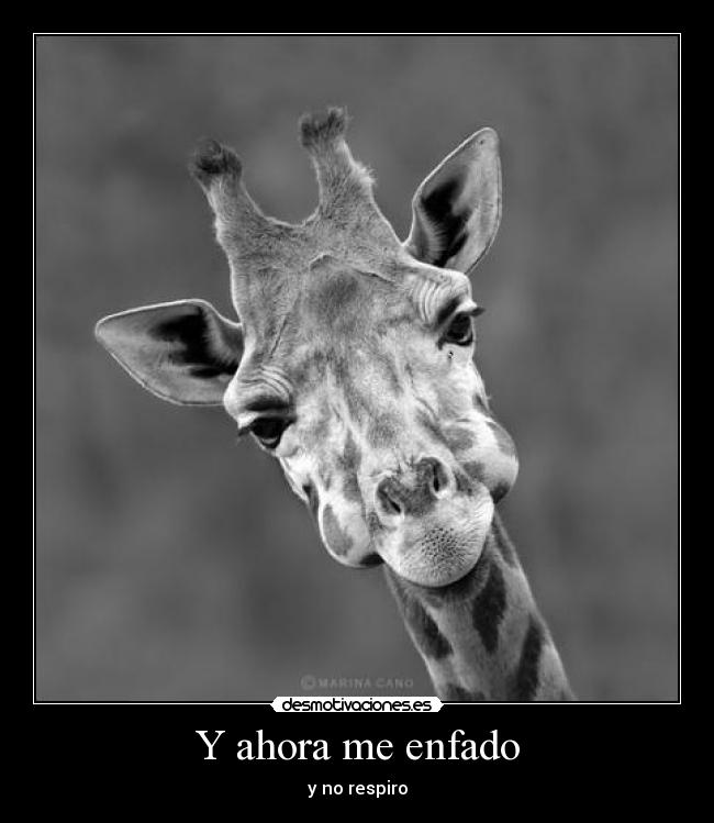 Y ahora me enfado - y no respiro