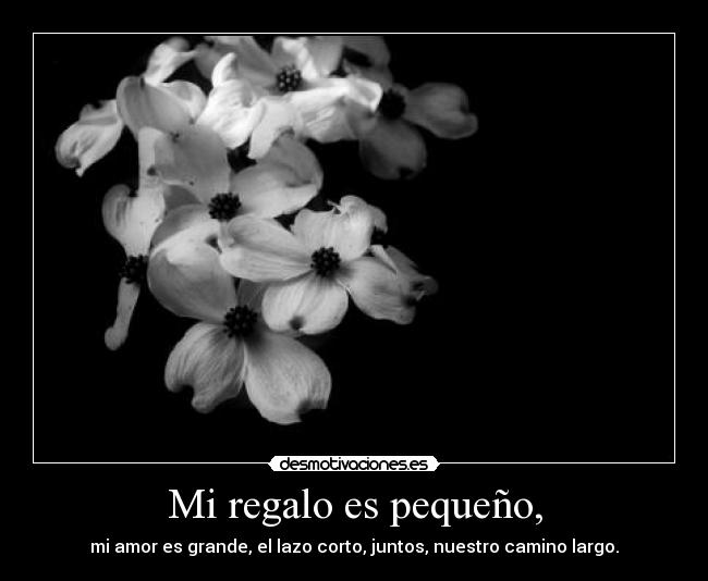 Mi regalo es pequeño, - mi amor es grande, el lazo corto, juntos, nuestro camino largo.
