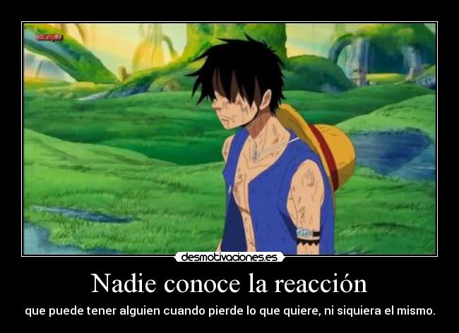 Nadie conoce la reacción -