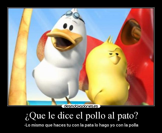 ¿Que le dice el pollo al pato? - -Lo mismo que haces tu con la pata lo hago yo con la polla