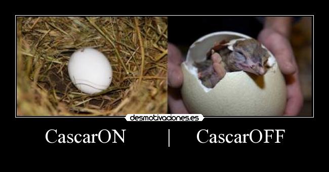 carteles fjkwnfjkibn desmotivaciones