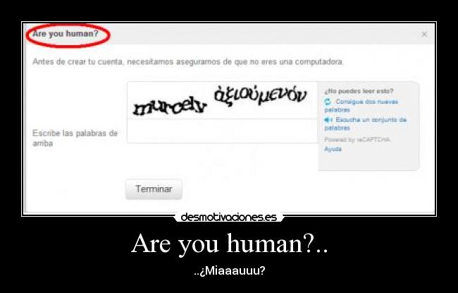 Are you human?.. - ..¿Miaaauuu?