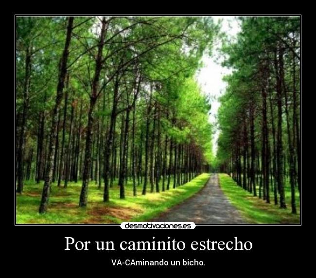 Por un caminito estrecho - VA-CAminando un bicho.