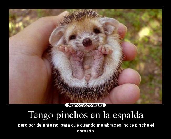 carteles mariuki desmotivaciones