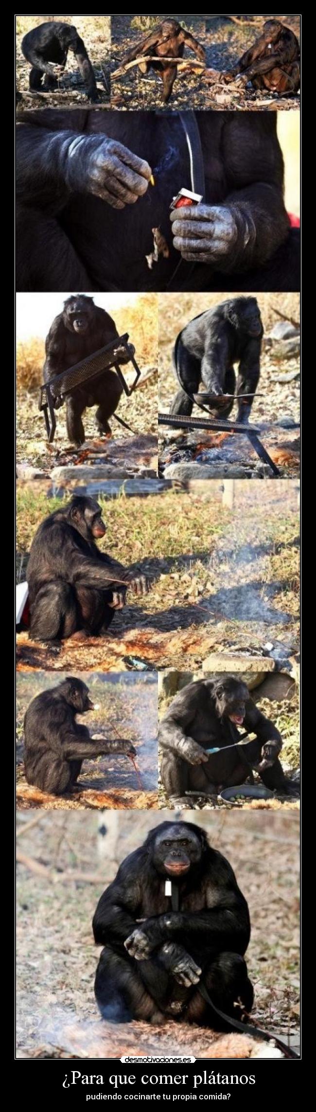 ¿Para que comer plátanos - 