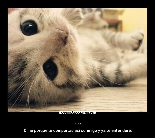 ... - Dime porque te comportas así conmigo y ya te entenderé.