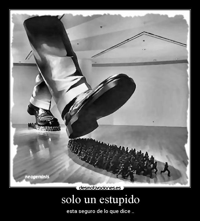 solo un estupido - esta seguro de lo que dice ..