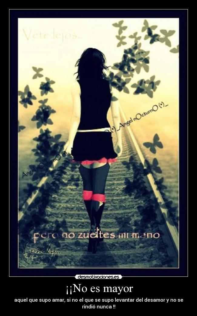 ¡¡No es mayor - aquel que supo amar, si no el que se supo levantar del desamor y no se
rindió nunca !!