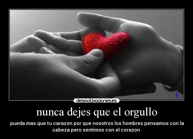nunca dejes que el orgullo - pueda mas que tu carazon por que nosotros los hombres pensamos con la
cabeza pero sentimos con el corazon