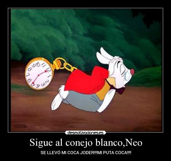 Sigue al conejo blanco,Neo - SE LLEVÓ MI COCA JODER!!!MI PUTA COCA!!!!